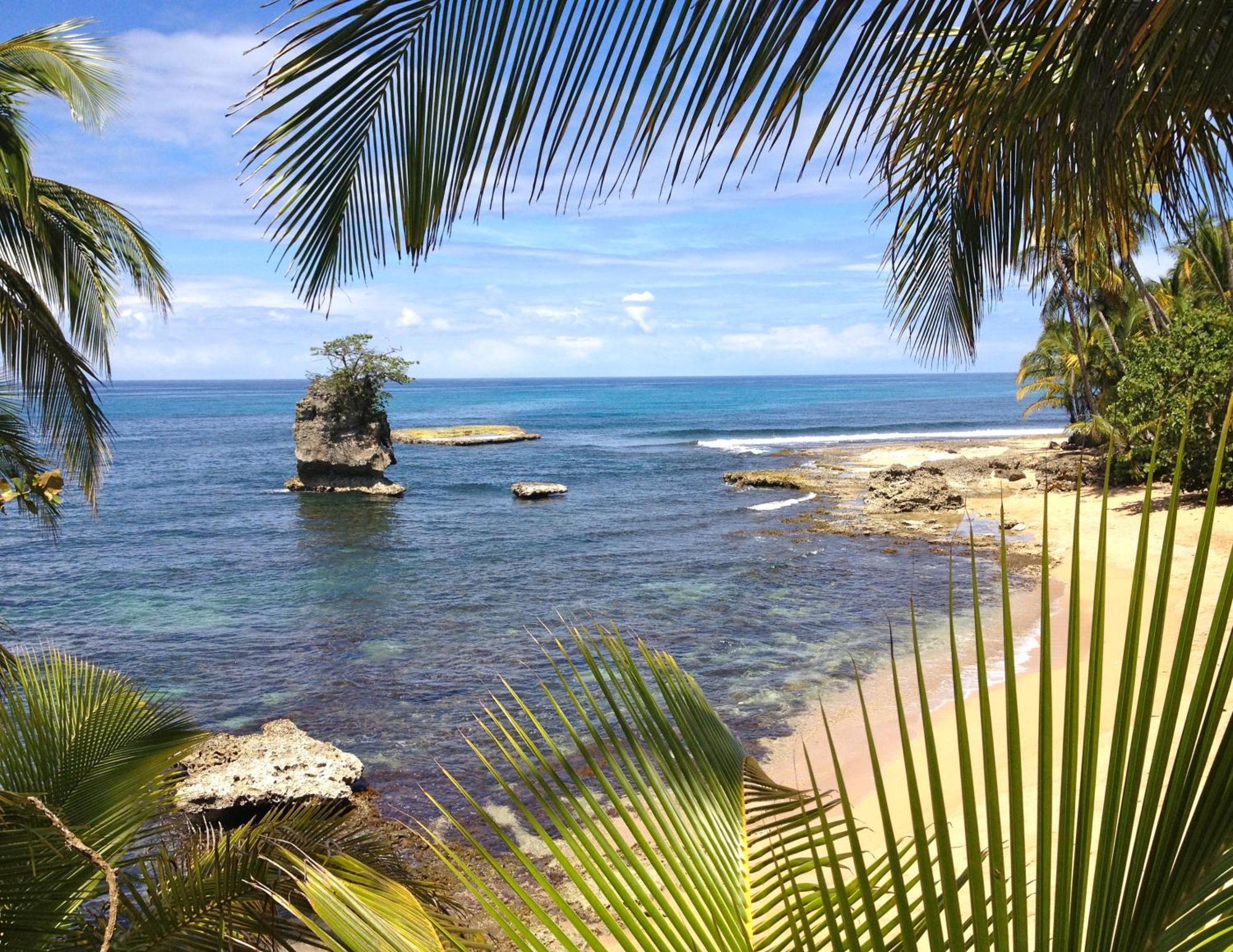 Physis Caribbean Bed & Breakfast Puerto Viejo de Talamanca Buitenkant foto
