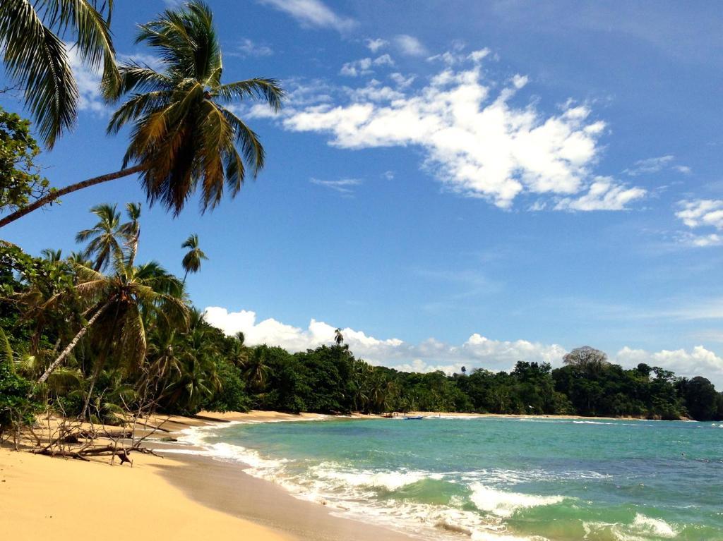 Physis Caribbean Bed & Breakfast Puerto Viejo de Talamanca Buitenkant foto