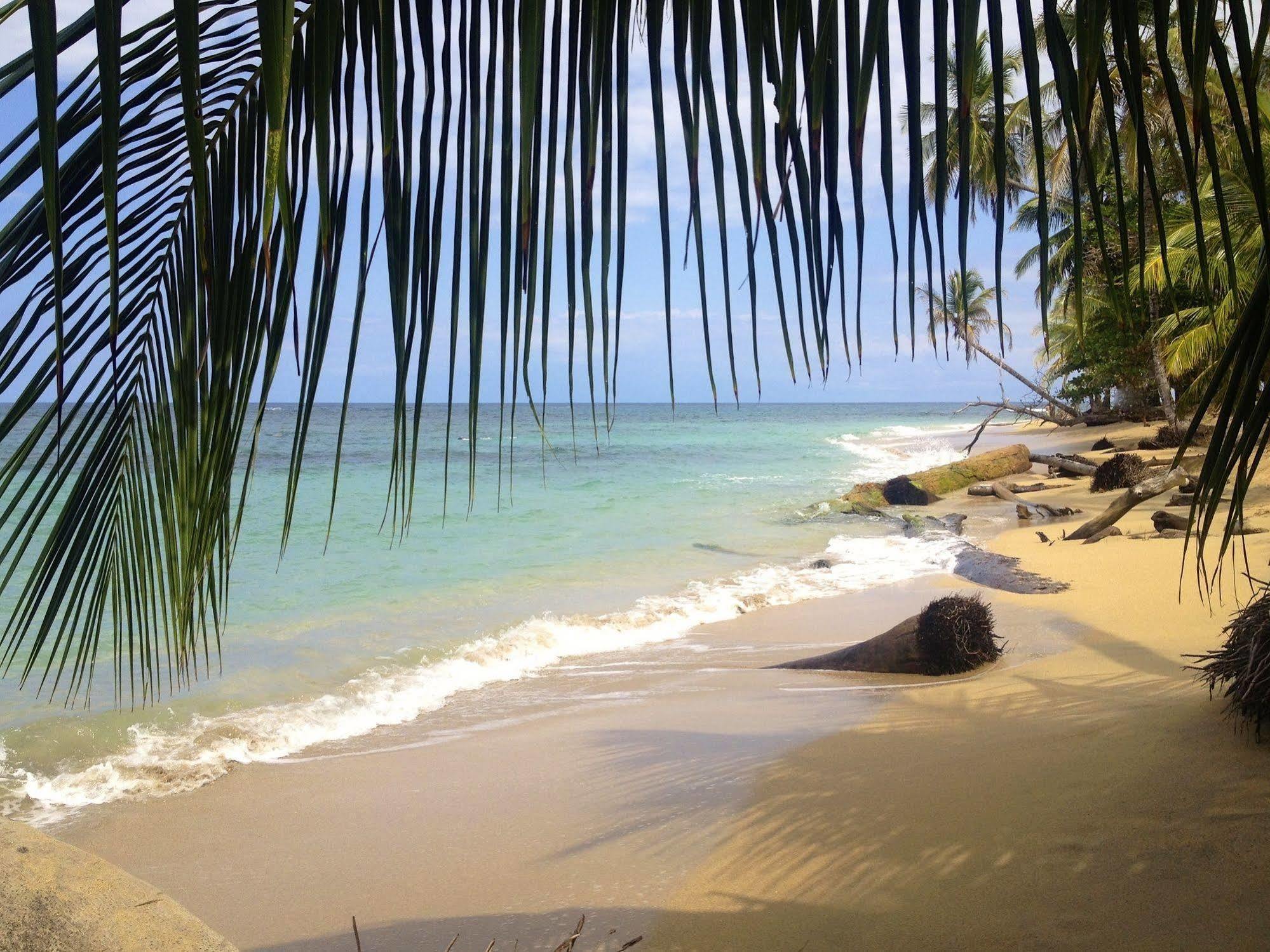 Physis Caribbean Bed & Breakfast Puerto Viejo de Talamanca Buitenkant foto