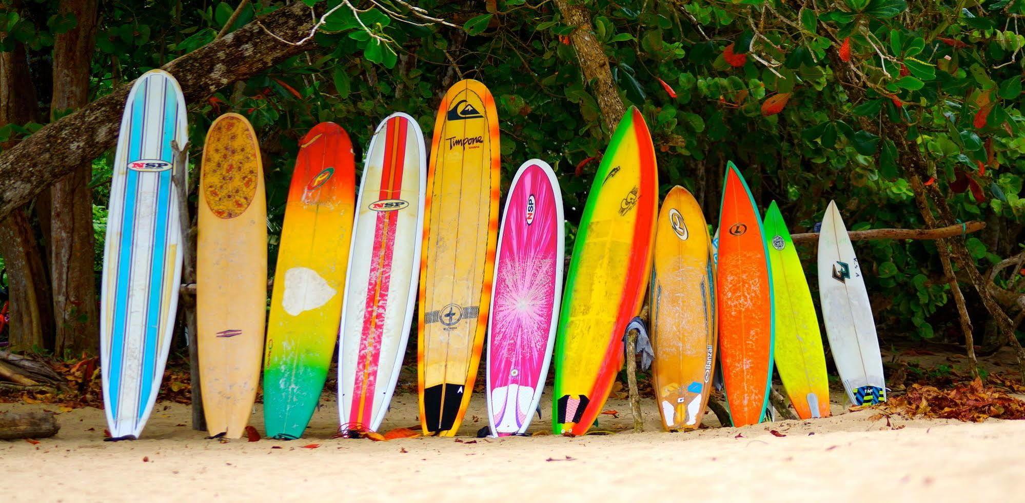Physis Caribbean Bed & Breakfast Puerto Viejo de Talamanca Buitenkant foto